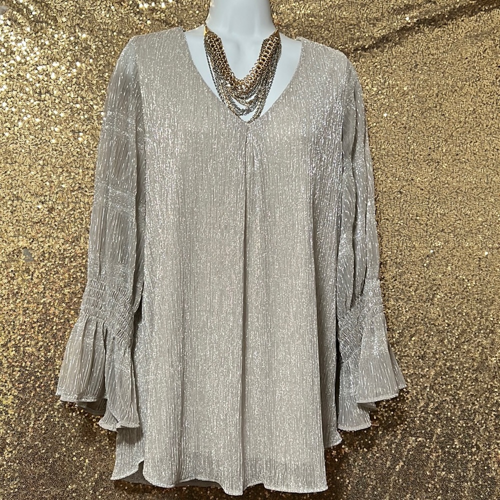 Elegant silver blouse